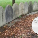 Basketball Game Preview St. Albans Red Dragons vs. Greenbrier East Spartans