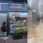 Business Break-Ins in Canton Cardiff Causes, Impacts, and Prevention Strategies for Local Businesses