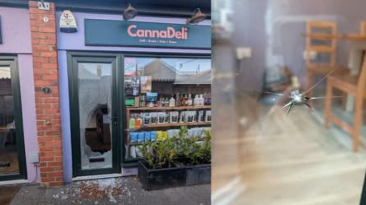 Business Break-Ins in Canton Cardiff Causes, Impacts, and Prevention Strategies for Local Businesses