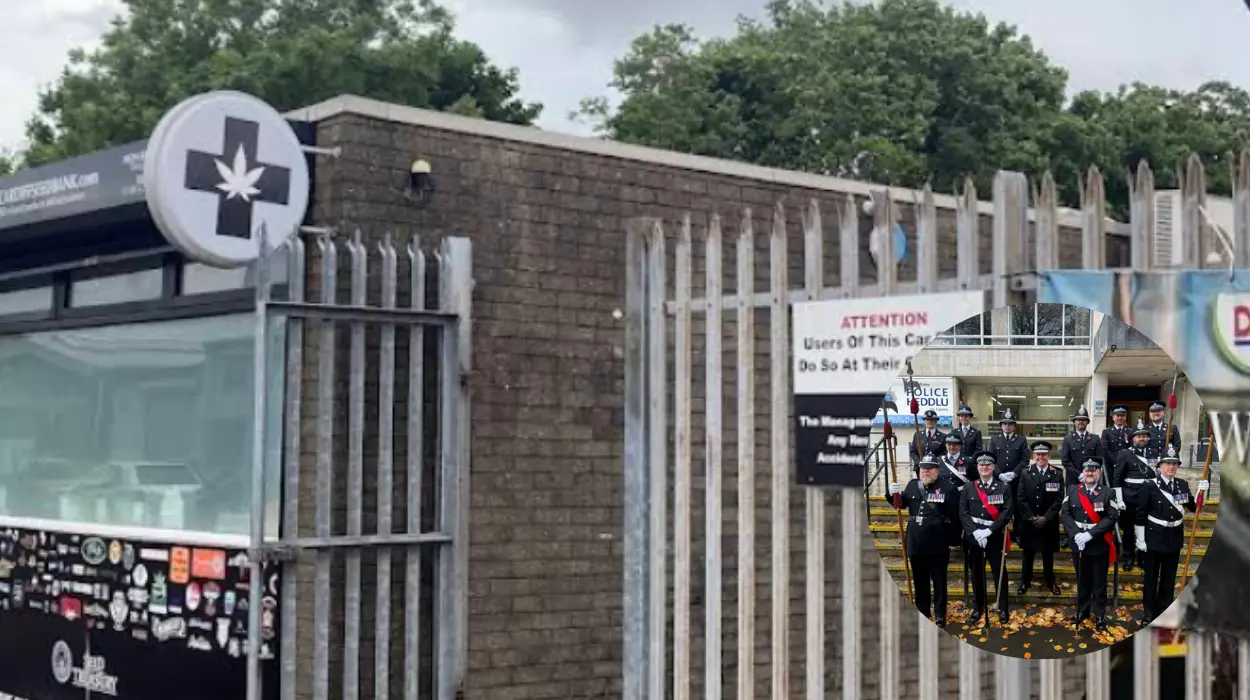 Cardiff Cannabis Factory Uncovered in Adamsdown as Man Arrested
