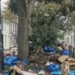 Cathays Waste Issues Tackling Rubbish, Recycling Challenges & Solutions in Cardiff