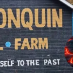 One Dead After Fire Sweeps Through Home in Carroll County