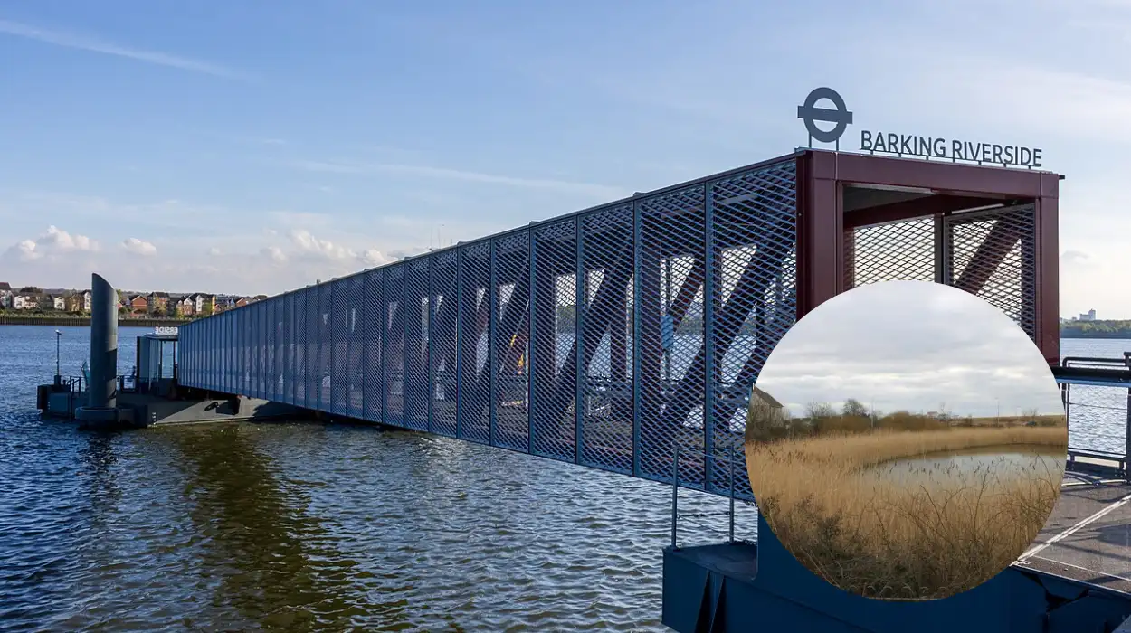 Barking Riverside Awards Mackley £12M Drainage and Flood Project