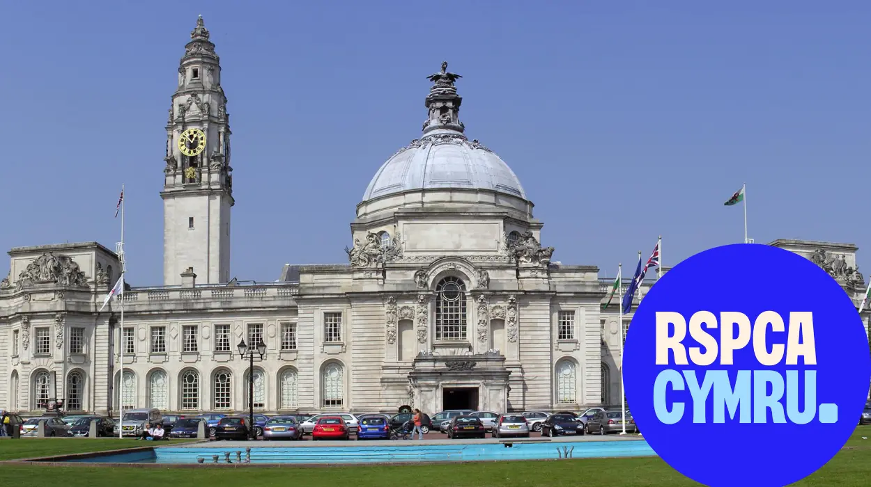 Cardiff Council Joins 16 Welsh Authorities in RSPCA Fireworks Welfare Push