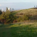 Cardiff Green Infrastructure Guide