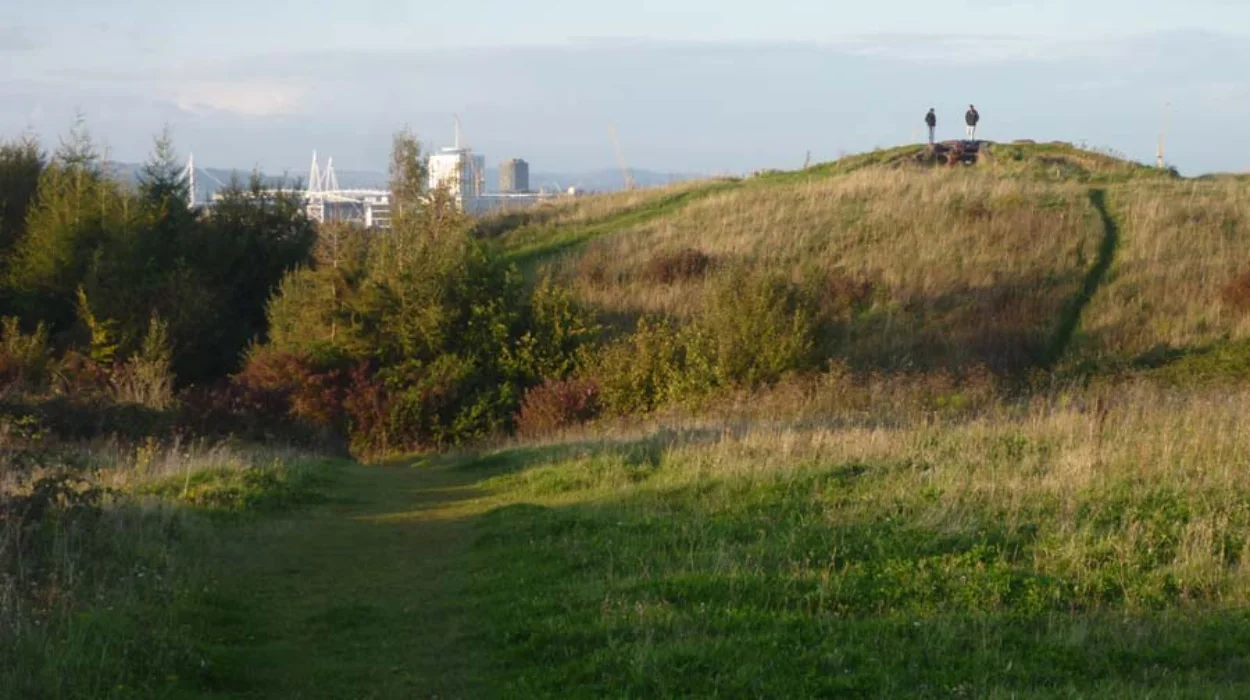 Cardiff Green Infrastructure Guide