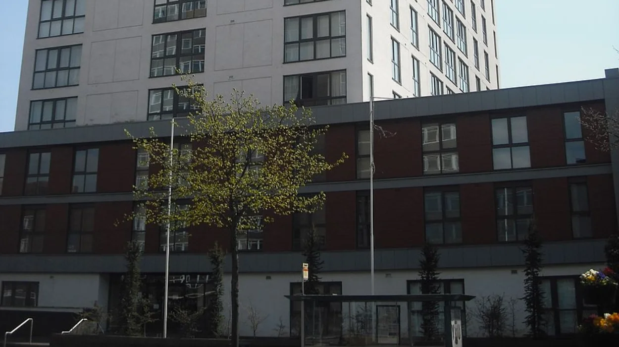 Cardiff's Adamsdown Housing Crisis Causes, Impacts, and Paths Forward