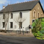 Cardiff's Secret Bluebell Forest Rhiwbina 2026