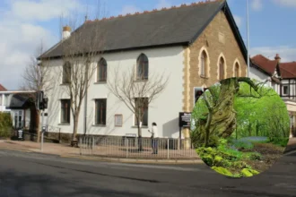 Cardiff's Secret Bluebell Forest Rhiwbina 2026