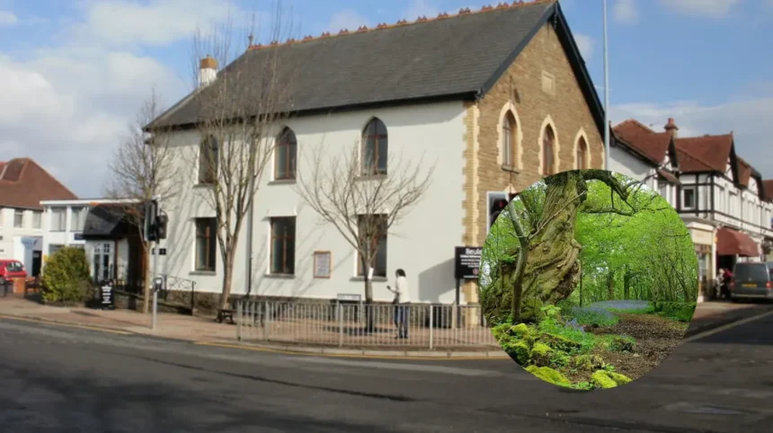 Cardiff's Secret Bluebell Forest Rhiwbina 2026