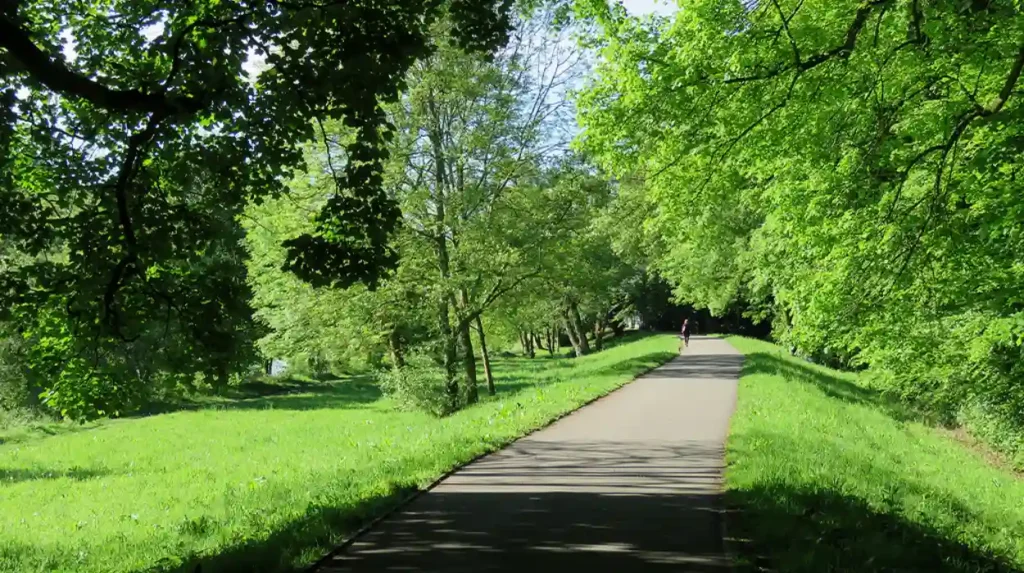 Dark Parks or Safe Spaces? Pontcanna's Lighting Battle