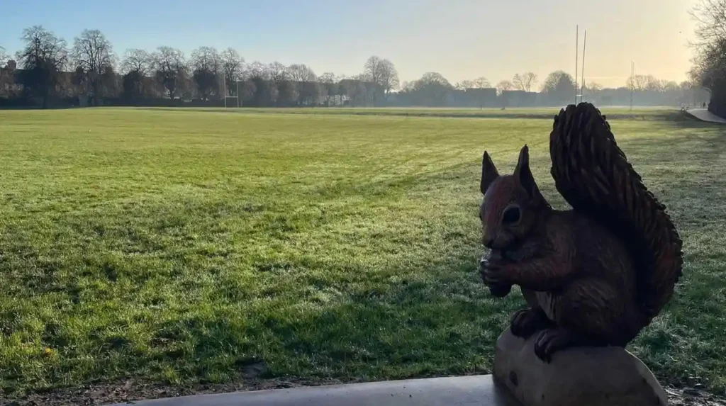 Explore Llandaff's ongoing traffic congestion, causes 