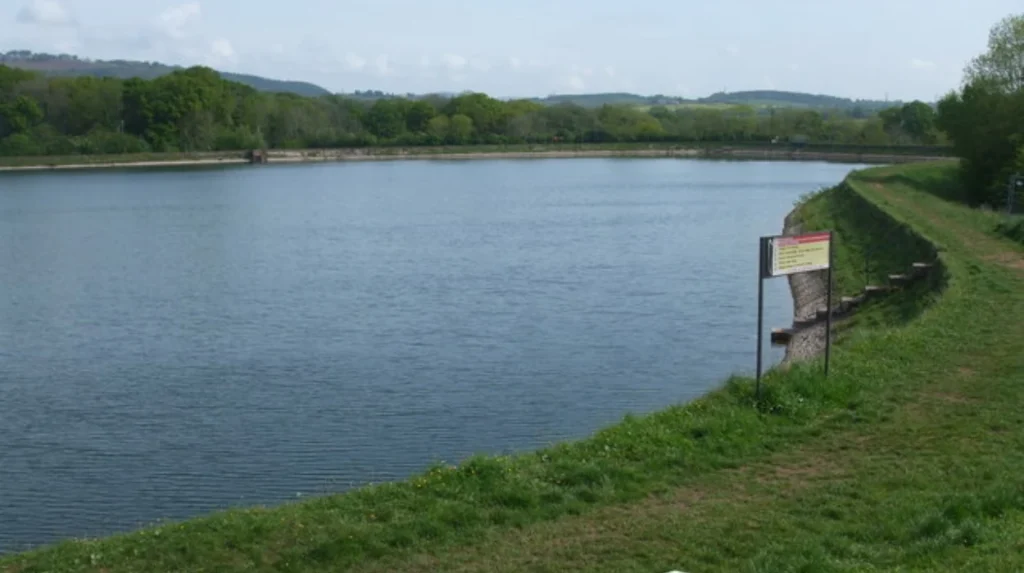 Llanishen Wildlife Protection Guide 