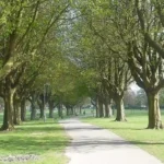 Explore Llandaff parking challenges in Cardiff