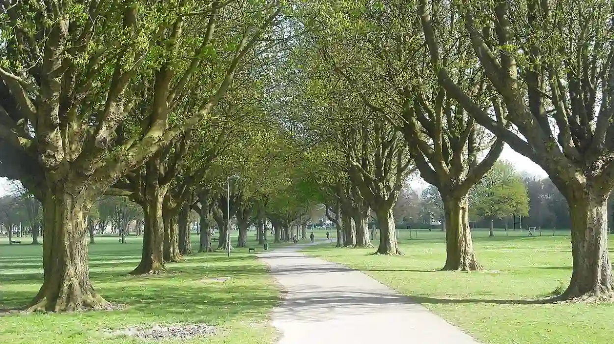 Explore Llandaff parking challenges in Cardiff