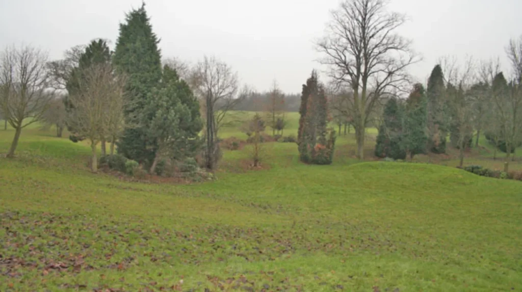 Gang Violence in Ely: Tackling Cardiff's Ongoing Safety Fear