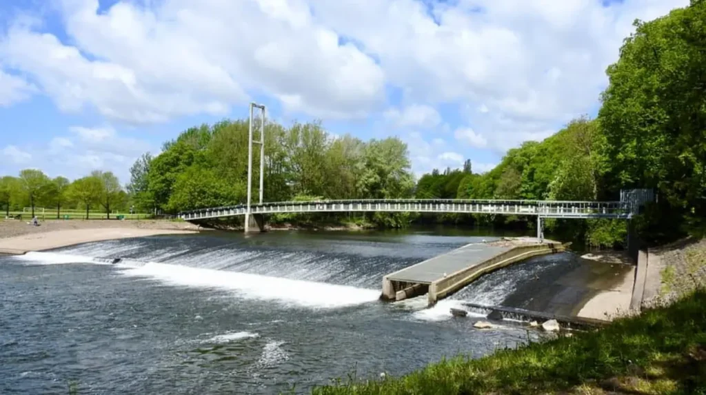 Grangetown Litter Crisis: Why Cardiff Council Fails