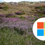 Microsoft Data Centre Breaks Ground, Heath 2026