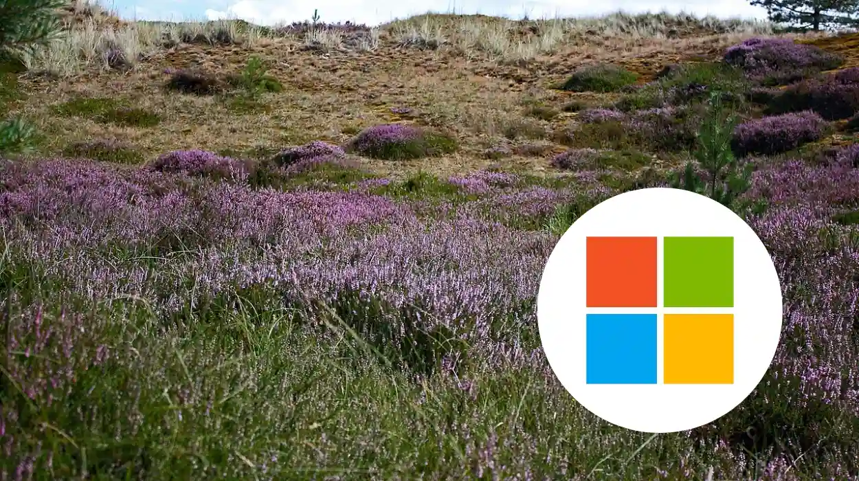 Microsoft Data Centre Breaks Ground, Heath 2026