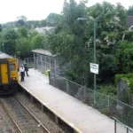 Overflowing Bins in Rhiwbina Tackling Litter Before It Spreads