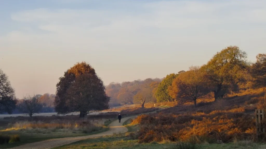 Fairwater Cardiff: Crime, Council Fights & Local Issues