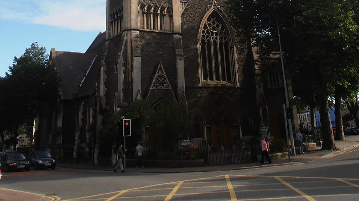 Penylan Tree Planting Debate Cardiff's Battle for Urban Balance