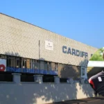 Red Card Fuels Cardiff's Dominant Win Over Rotherham