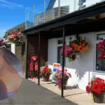 Shocking Caravan Attack Grandmother's Face Brutally Smashed