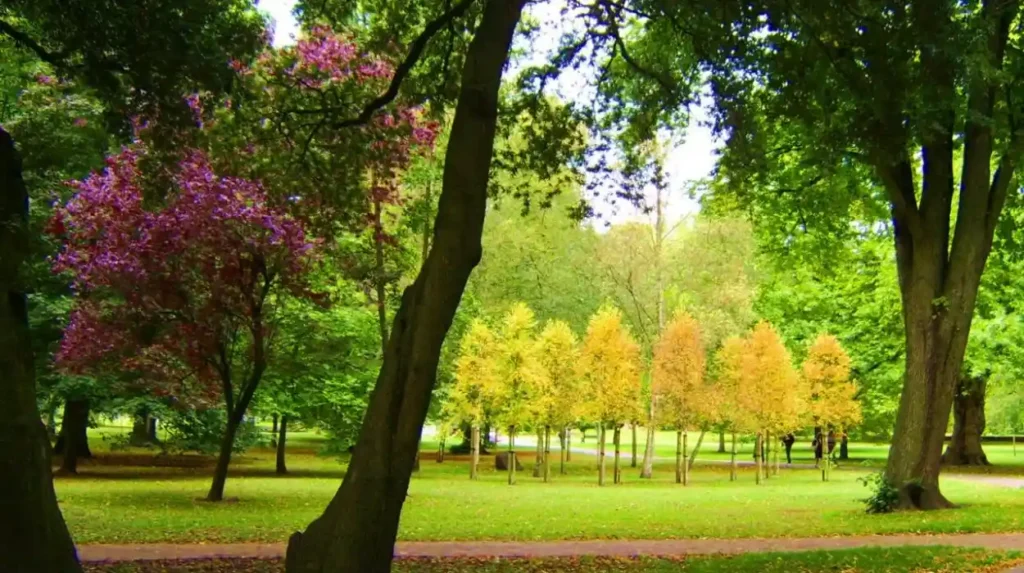 Green Cardiff: Recycle, Parks, Floods