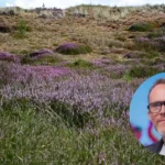 Vision's Paul Bettany Reflects on Ledger's Death