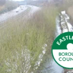 Volunteers Plant Trees at Knowle Park, Knowle Heath 2026