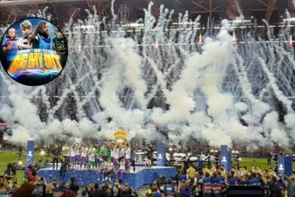 Bears vs Harlequins: Big Day Out Guide 2026