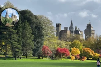 Best Parks in Cardiff: Bute, Roath & More Historic Gems