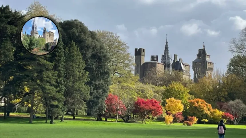 Best Parks in Cardiff: Bute, Roath & More Historic Gems