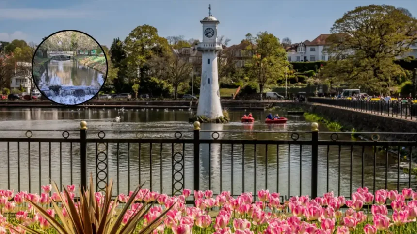 Best Parks in Cardiff: Bute, Roath & Top Green Spaces