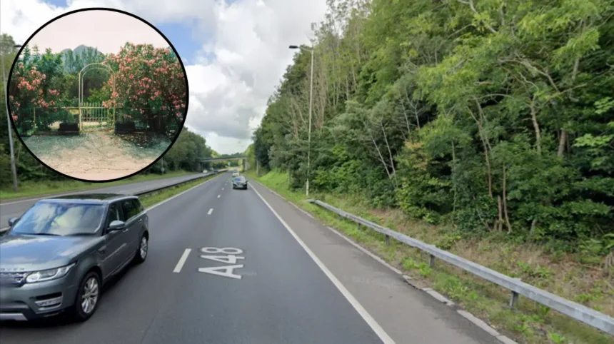 Cardiff killer jailed for killing his ex-wife in 2026