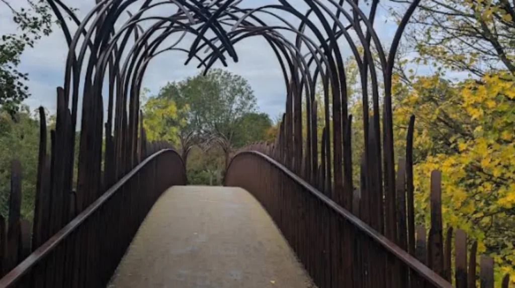 Parking Woes in Splott: Disabled Demand Change