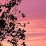 Empty Homes in Splott Fixing Cardiff’s Housing Crisis