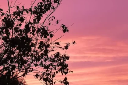 Empty Homes in Splott Fixing Cardiff’s Housing Crisis