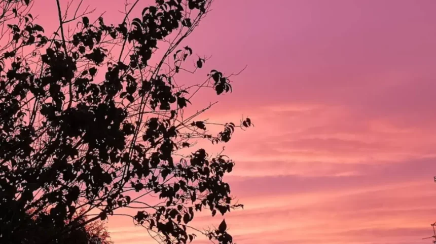 Empty Homes in Splott Fixing Cardiff’s Housing Crisis