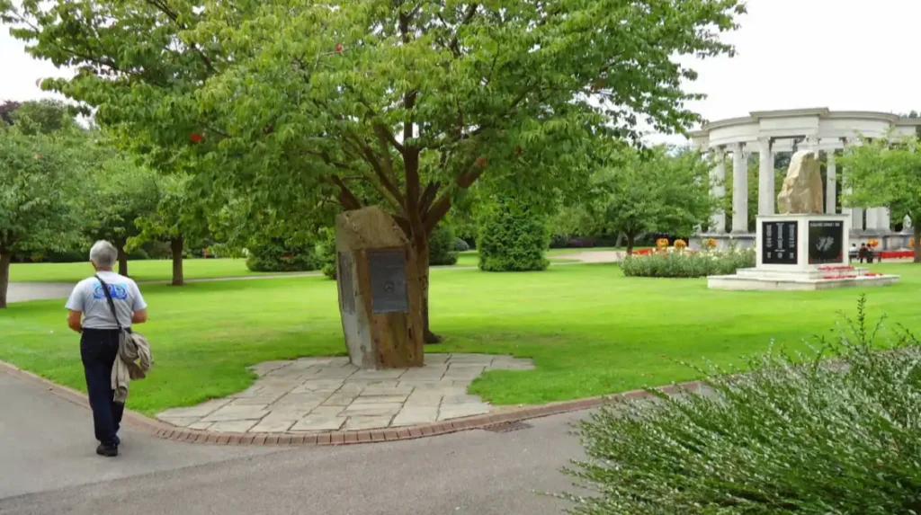 Environmental and Community Role