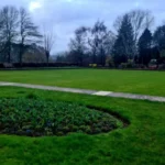 Fly-Tipping Crisis Rumney Parks