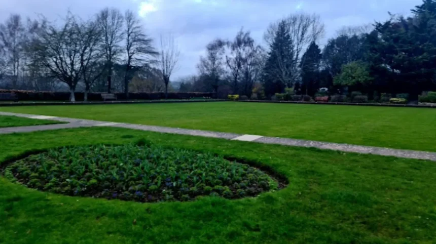 Fly-Tipping Crisis Rumney Parks