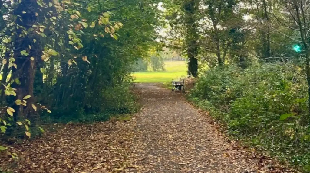 Biodiversity in Heath Park Cardiff 