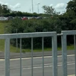 Grangetown Waste Woes Dog Fouling to Fly-Tipping