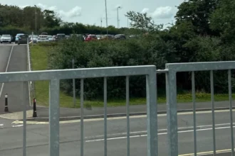 Grangetown Waste Woes Dog Fouling to Fly-Tipping