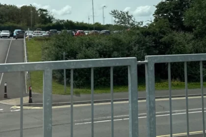 Grangetown Waste Woes Dog Fouling to Fly-Tipping