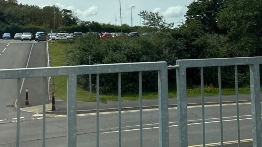Grangetown Waste Woes Dog Fouling to Fly-Tipping