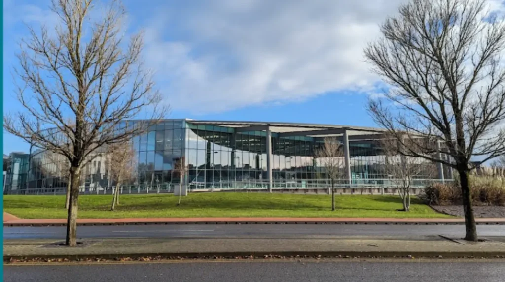 Grangetown Waste Woes: Dog Fouling to Fly-Tipping