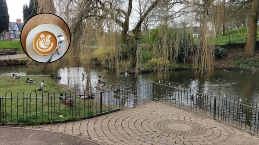 Ground Opens Coffee Hut in Thompson's Park, Canton 2026